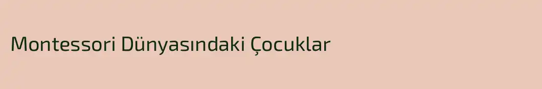 Montessori Dünyasındaki Çocuklar